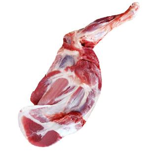 宁夏滩羊肉新鲜现宰3斤羔羊前腿带骨宁羊一号新鲜羊肉24小时发