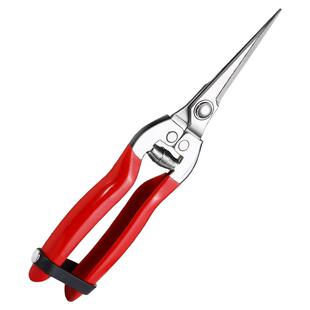 不锈钢稀果剪水果花枝花卉剪刀葡萄剪花椒剪摘花摘果剪刀树枝修剪