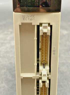 SCHNEIDER ELECTRIC Tsx DEY32D2K PV 06 Rl 04 Input Module