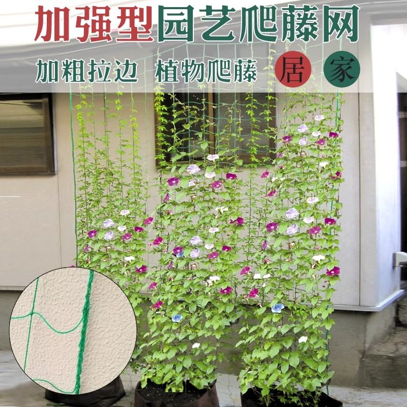 植物爬藤网月季园艺黄瓜藤架百香果种植架子攀爬网格支架丝瓜架网