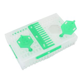 扣王笼罩双王笼中蜂意蜂塑料针式囚王笼蜂具养蜂育王工具全套蜂箱