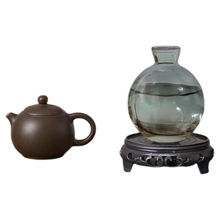 水培室内植物好养发财树办公室工位桌面招财摆件创意迷你拇指绿植