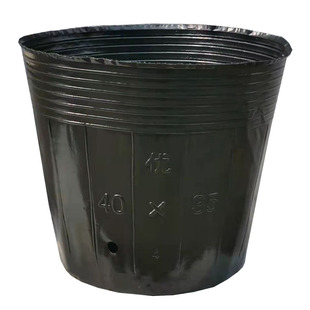 容器杯西瓜杯加厚营养钵营养杯育苗杯黑色育苗袋一次性塑料扦插苗