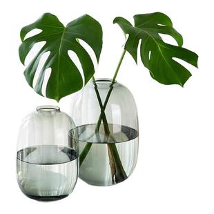 龟背竹花瓶玻璃透明大肚绿植专用水培器皿水养高级感客厅插花摆件