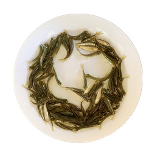 草鱼苗活体白鲩小鱼大规格半斤四大家鱼饲料饵料淡水养殖食用易活