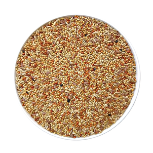 有鹦虎皮鹦鹉鸟粮专用饲料黄谷子带壳小米鹦鹉粮食小型混合型鸟食