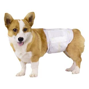 公狗狗生理裤宠物纸尿裤公狗专用礼貌带泰迪柯基母狗姨妈巾尿不湿