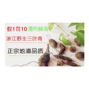 浙江野生正品紫藤三叶青种苗金线吊葫芦小苗绿植新鲜现挖促销包邮