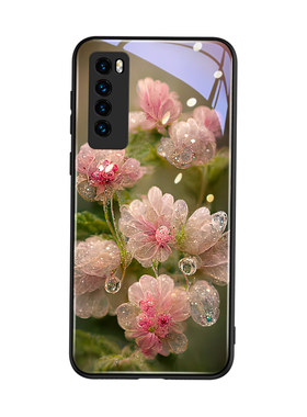 适用华为nova7玻璃壳静谧水晶花