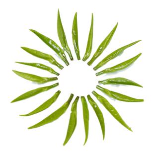 【半斤装2025年新茶250g贵州特级绿茶明前雀舌湄潭翠芽清香独芽茶