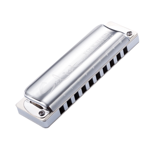 孔声口琴布鲁斯口琴成人专业演奏级十孔口琴10孔口琴正品金属琴格