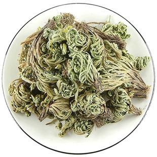 卷柏500g克野生九死还魂草新鲜卷伯草还阳草不死草干货包邮