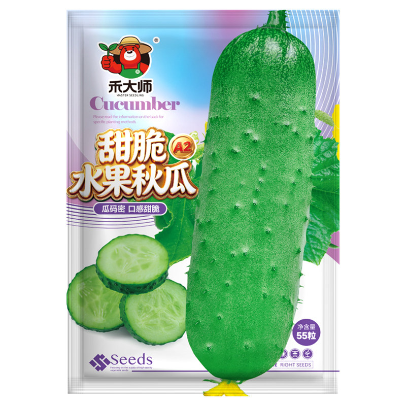 生吃脆甜水果秋瓜种子易管理绿芯满地爬黄瓜种籽庭院盆栽地栽