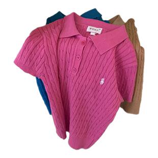 老钱风polo领刺绣麻花针织衫女夏季穿搭小众短袖绝美内搭T恤上衣