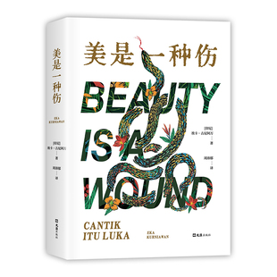 美是一种伤 魔幻现实主义惊艳新星 东南亚版《百年孤独》狂野荒蛮年代里 美就是致命的诅咒 丰乳肥臀黄锦树雨 新经典正版图书