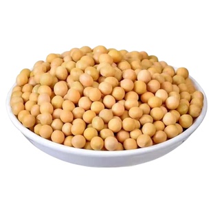东北黄豆打豆浆专用豆子非转基因新大豆生小农家土黄豆5斤批发