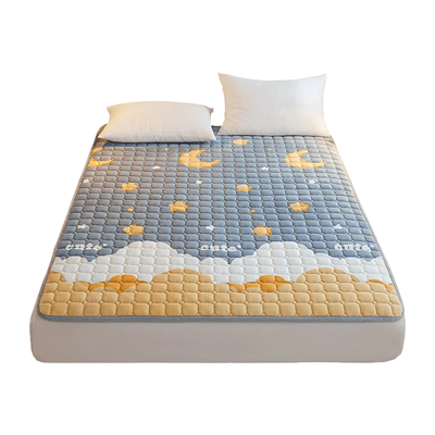 珊瑚牛奶绒床盖冬季加绒夹棉床单