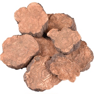 【纯粉无添加】何首乌中药粉现磨50克生首乌生何首乌干片生晒何首