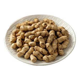 璞匠柴火铁锅炒花生带壳原味熟小花生炒货坚果零食过年货小吃特产