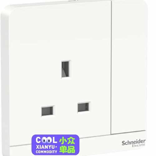 Schneider 施耐德 E8315_WE_C5 13A