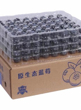露天有机标准种植蓝莓新鲜水果