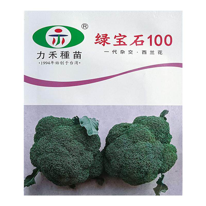 绿宝石100天1000粒高产西兰花种