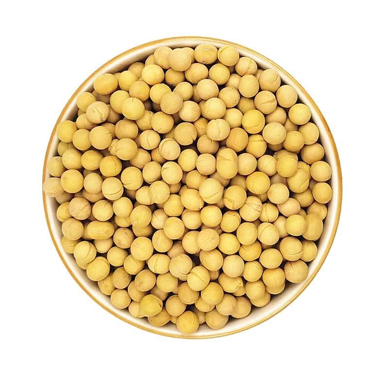 黑龙江东北特大粒黄豆食品45斤商用豆腐豆浆豆皮豆制品(包装随机)