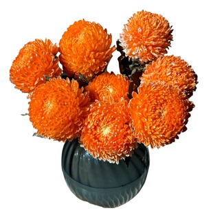 牡丹菊鲜花青花瓷云南基地直发鲜切花卉家用插花花期超长水养花束