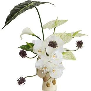 高级感逼真盆栽植物仿真花艺摆件绿植室内盆景蝴蝶兰客厅假花摆件