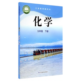 中学九年级下册化学书鲁教版教材新华书店 中学教材鲁教版义务教育教科书课本九年级下学期化学课本山东教育出版社