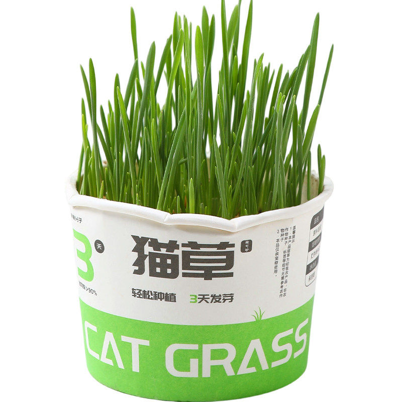 鹦鹉大麦草粮促消化防啄毛