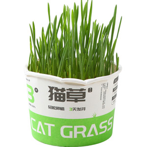 鹦鹉大麦草粮促消化防啄毛