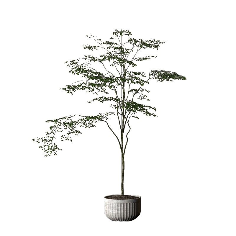 仿真绿植假树造景轻奢高端植物