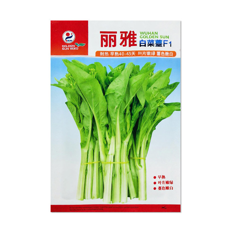 金阳红丽雅白菜苔种子