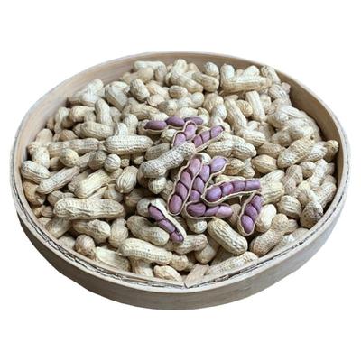 朝气森林花生龙岩花生湿烤红衣