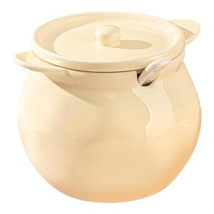 陶瓷猪油罐家用耐高温带盖装荤油的容器厨房调味罐子辣椒油专用罐