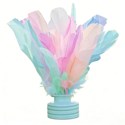 小学生幼儿园鸡毛毽子彩色毽子