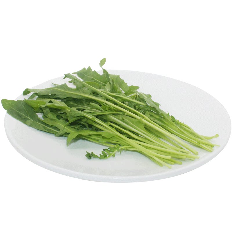 蔬菜沙拉蔬菜新鲜 芝麻菜 火箭菜 西餐菜沙拉用料 100g