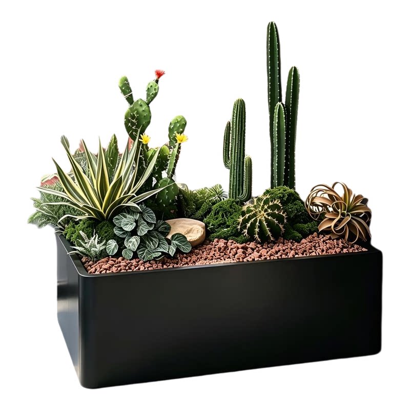 仿真沙生植物小仙人掌绿植造景