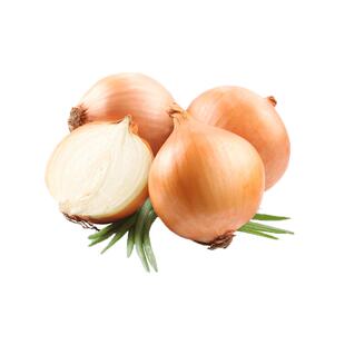 【YIKECAI】黄洋葱500g 白洋葱圆葱头蔬菜新鲜农家自种包邮