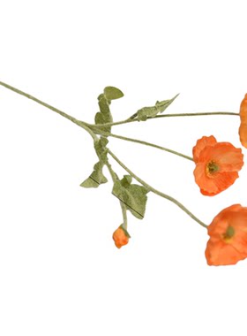 花艺绢花花伊然虞美人仿真花单支