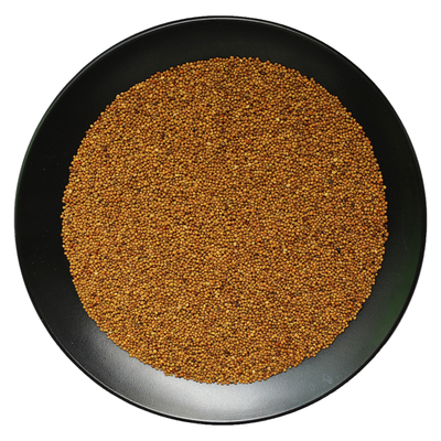 粒粒饱满菟丝子手工拣选中药材