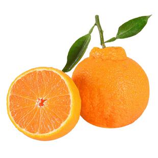 四川不知火丑橘新鲜水果5斤当季粑粑橘丑八怪耙耙水果柑10包邮