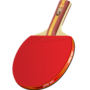 DHS/红双喜乒乓球拍小学生比赛训练专业单拍初学专用高弹力成品拍