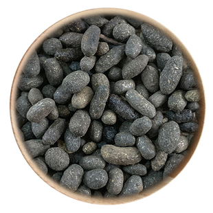 精选 中药材 五灵脂 灵脂米 50克 可打粉 满包邮