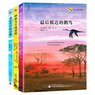 飞行历险系列 来自天空的召唤 最后抵达的鹳鸟 吵架大王的冒险 小学动物课外书阅读书籍故事书儿童文学小说 广西师范大学出版社