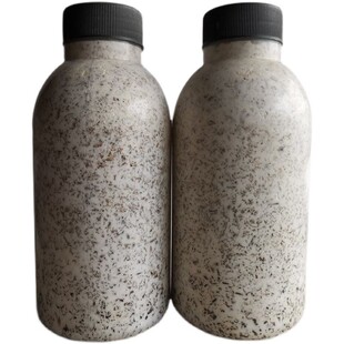 平菇原种二级种优质菌种子蘑菇菌包栽培种厂家直销食用菌基地