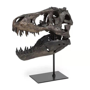 霸王龙头骨仿真化石摆件恐龙骨骼模型工艺品礼物书房背景墙装饰