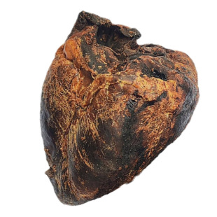 梅花鹿干鹿心吉林鹿心粉马鹿心含鹿心血以心养心粉正品发货300克