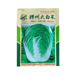 胶州大白菜种子抗病长势旺盛适应性强生育期85天产量稳定白菜种子
